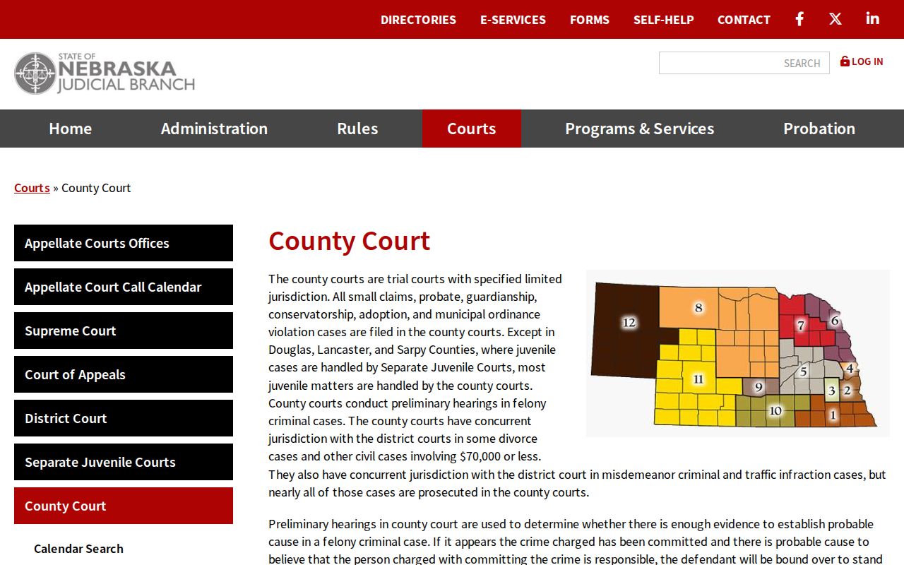 Wheeler County criminal docket County Court jurisdiction information